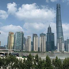 卑微的老汤姆杜哈