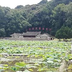 大荒山下