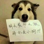 用户头像