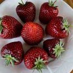 草莓跳跳糖