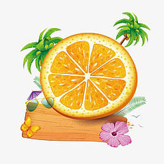 橙子orange滚滚来