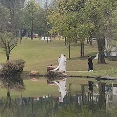 高股息率兼顾成长