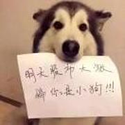 用户头像