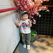 用户头像