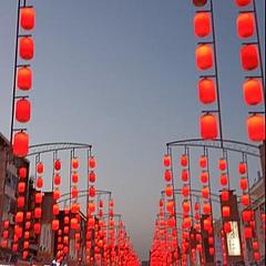北京的红叶