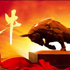 湖南省第88号挖机