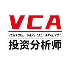 投资分析师VCA