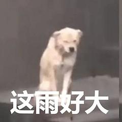 伟大的陈先生