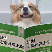 用户头像