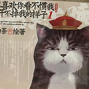 用户头像