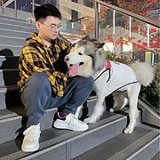 用户头像