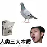 用户头像
