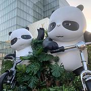 用户头像