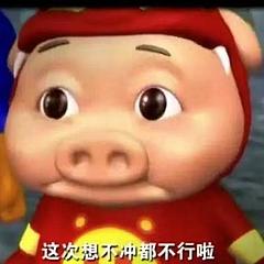 代号中金瓜先生