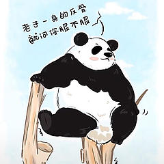 熊猫路复盘