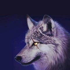 狼盟主-孤狼