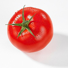西红柿AMY