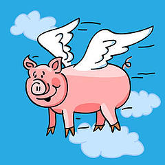猪会飞起来