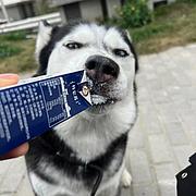 用户头像