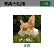 用户头像