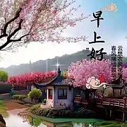 同情的金条小导演