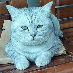 高远的财富小滑翔机