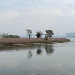 只想发财绝无二心