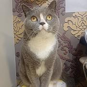 用户头像