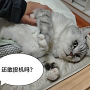 厉害的力力