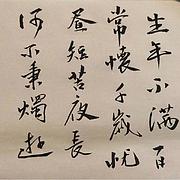 用户头像