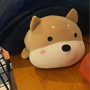 揾食甚艰难
