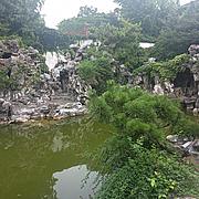 持股不动如山