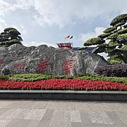 白桦林1968