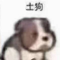 贷款追高不信邪