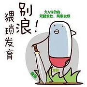 用户头像