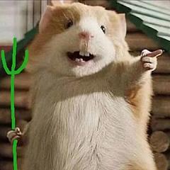 坚持读书坚持锻炼