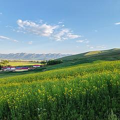 买水电当交养老金