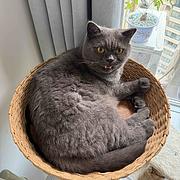 用户头像