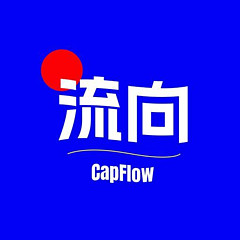 流向CapFlow - 雪球