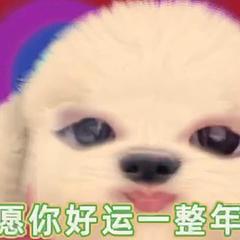 嘤嘤嘤嘤嘤嘤嘤666