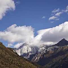 善良的她-第 1 章