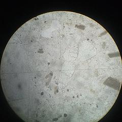 空虚的空虚 - 雪球