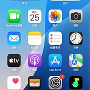 弗朗西斯科-大壮壮