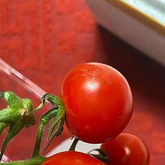 雅致的红利小心理师