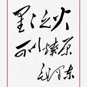 看书沉思投资忍耐