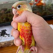 用户头像