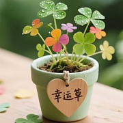 嘤鱼鱼