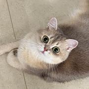 水蜜桃小公主